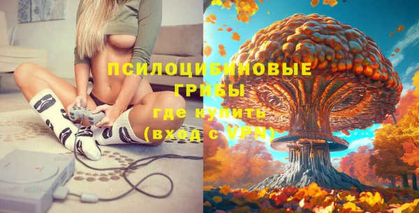 спайс Фурманов