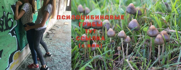 спайс Фурманов