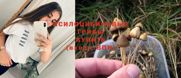 mdpv Ханты-Мансийск