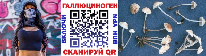 Галлюциногенные грибы мухоморы  где продают   Архангельск 