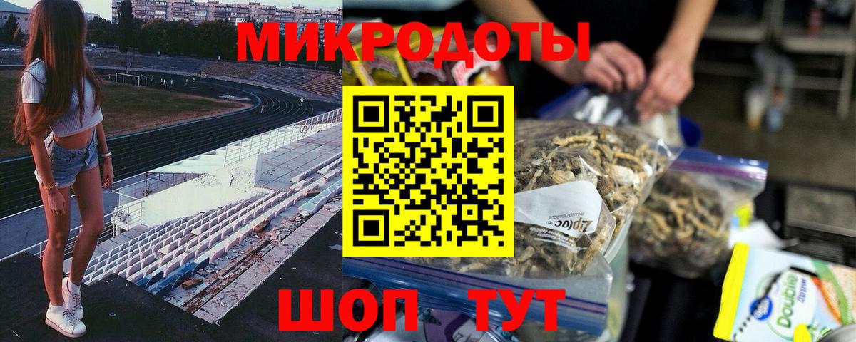 Галлюциногенные грибы Psilocybine cubensis Архангельск