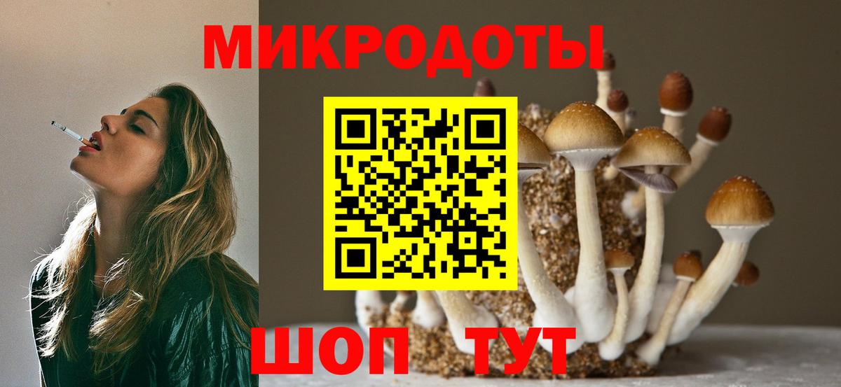 Псилоцибиновые грибы Psilocybine cubensis  Архангельск 